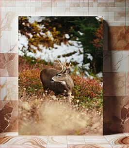 Πίνακας, Deer in Forest Ελάφια στο Δάσος