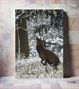 Πίνακας, Deer in Snowy Forest Ελάφια στο Χιονισμένο Δάσος