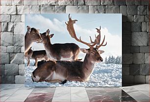 Πίνακας, Deer in Snowy Landscape Ελάφια στο χιονισμένο τοπίο