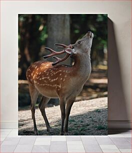 Πίνακας, Deer in the Forest Ελάφια στο Δάσος