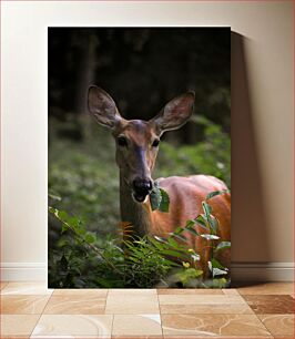 Πίνακας, Deer in the Forest Ελάφια στο Δάσος