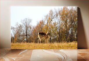 Πίνακας, Deer in the Forest Ελάφια στο δάσος