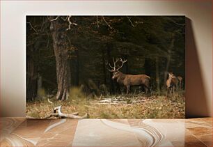 Πίνακας, Deer in the Forest Ελάφια στο Δάσος