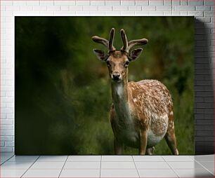 Πίνακας, Deer in the Forest Ελάφια στο Δάσος