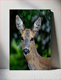 Πίνακας, Deer in the Forest Ελάφια στο Δάσος