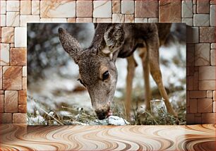 Πίνακας, Deer in the Snow Ελάφια στο χιόνι