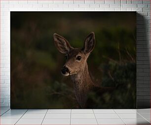 Πίνακας, Deer in the Wilderness Ελάφια στην ερημιά