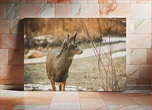 Πίνακας, Deer in Wilderness Ελάφια στην ερημιά