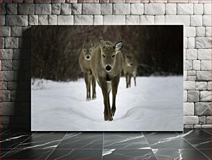 Πίνακας, Deer in Winter Forest Ελάφια στο Χειμερινό Δάσος