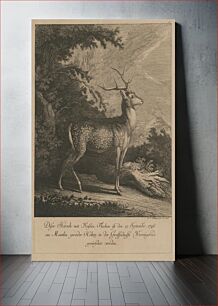 Πίνακας, Deer with white spots