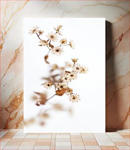 Πίνακας, Delicate Dried Flowers Against White Background Λεπτά αποξηραμένα λουλούδια σε λευκό φόντο