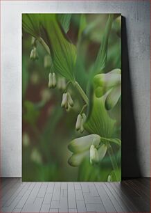 Πίνακας, Delicate Green Foliage and Buds Λεπτό πράσινο φύλλωμα και μπουμπούκια