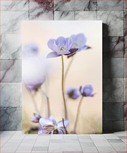 Πίνακας, Delicate Purple Flowers Λεπτά μωβ λουλούδια
