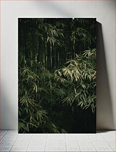 Πίνακας, Dense Bamboo Grove Πυκνό Άλσος Μπαμπού