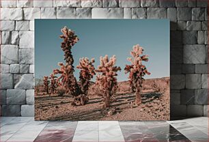 Πίνακας, Desert Cacti Under Clear Sky Κάκτοι της ερήμου κάτω από τον καθαρό ουρανό