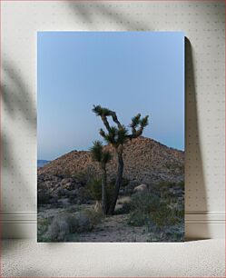 Πίνακας, Desert Landscape with Joshua Trees Τοπίο της ερήμου με τα δέντρα Joshua