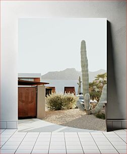 Πίνακας, Desert Residence with Cacti Κατοικία στην Έρημο με Κάκτους