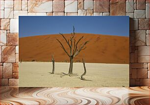 Πίνακας, Desert Trees against Sand Dune Δέντρα της Ερήμου ενάντια στον Αμμόλοφο