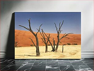 Πίνακας, Desert Trees in the Dunes Δέντρα της Ερήμου στους Αμμόλοφους