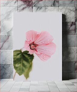 Πίνακας, Dew-Kissed Pink Flower Ροζ λουλούδι με ροζ φιλί