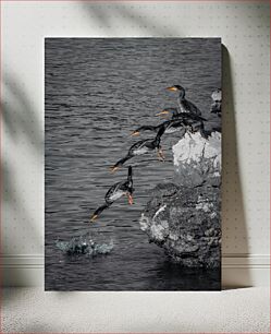 Πίνακας, Diving Birds Diving Birds