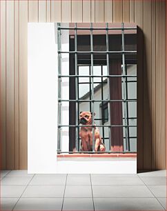 Πίνακας, Dog Behind Bars Σκύλος πίσω από τα κάγκελα