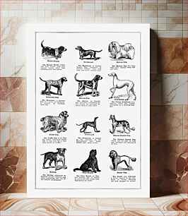 Πίνακας, Dog breeds poster. The Open Door to Independence (1915) by Thomas E. Hill