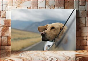 Πίνακας, Dog Enjoying Car Ride Σκύλος που απολαμβάνει τη βόλτα με το αυτοκίνητο