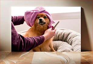 Πίνακας, Dog Grooming Session Συνεδρία περιποίησης σκύλων