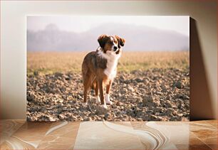 Πίνακας, Dog in a Field Σκύλος σε ένα χωράφι