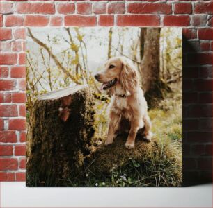 Πίνακας, Dog in a Forest Σκύλος σε ένα δάσος