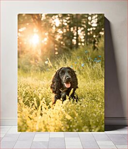 Πίνακας, Dog in a Sunny Meadow Σκύλος σε ένα ηλιόλουστο λιβάδι