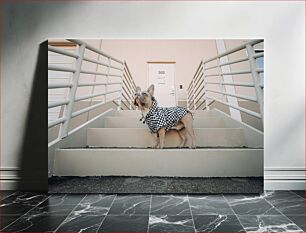 Πίνακας, Dog in Checkered Coat on Stairs Σκύλος με καρό παλτό στις σκάλες