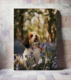 Πίνακας, Dog in Flower Field Σκύλος στο πεδίο των λουλουδιών