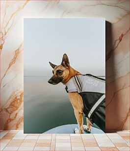 Πίνακας, Dog in life jacket by the water Σκύλος με σωσίβιο δίπλα στο νερό