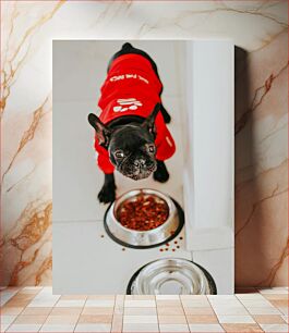 Πίνακας, Dog in Red Sweater Near Food Bowl Σκύλος με κόκκινο πουλόβερ κοντά σε μπολ φαγητού