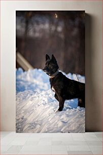 Πίνακας, Dog in Snow Σκύλος στο χιόνι