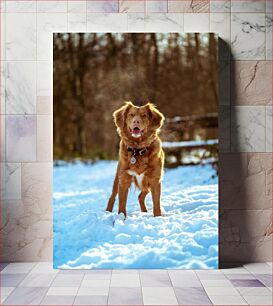 Πίνακας, Dog in Snowy Forest Σκύλος στο Χιονισμένο Δάσος