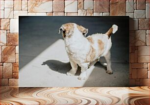 Πίνακας, Dog in Sunlight Σκύλος στο φως του ήλιου