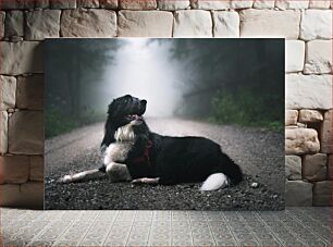 Πίνακας, Dog in the Mist Σκύλος στην Ομίχλη