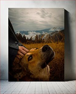 Πίνακας, Dog in the Misty Mountains Σκύλος στα ομιχλώδη βουνά