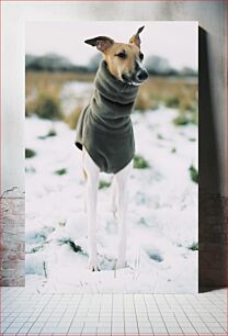 Πίνακας, Dog in Winter Attire Σκύλος με χειμερινή ενδυμασία