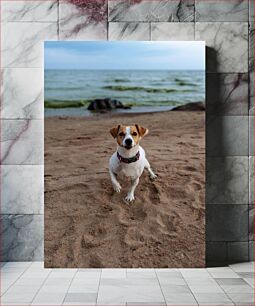 Πίνακας, Dog on the Beach Σκύλος στην παραλία