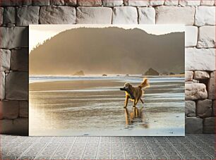 Πίνακας, Dog Playing on the Beach Σκύλος που παίζει στην παραλία