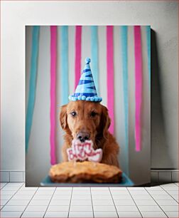 Πίνακας, Dog's Birthday Celebration Γιορτή γενεθλίων σκύλου