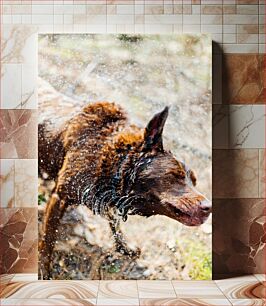 Πίνακας, Dog Shaking Off Water Σκύλος που τινάζεται από το νερό