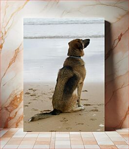 Πίνακας, Dog Sitting by the Beach Σκύλος που κάθεται δίπλα στην παραλία