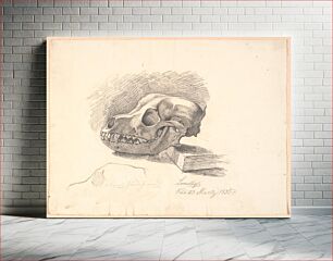 Πίνακας, Dog skull.Below, unfinished study of the same motif by Johan Thomas Lundbye