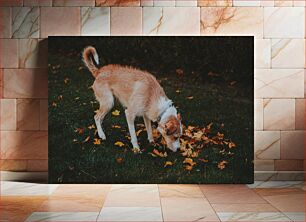 Πίνακας, Dog Sniffing Leaves in Fall Σκύλος που μυρίζει φύλλα το φθινόπωρο