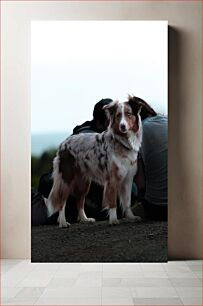 Πίνακας, Dog Standing with People Σκύλος που στέκεται με ανθρώπους